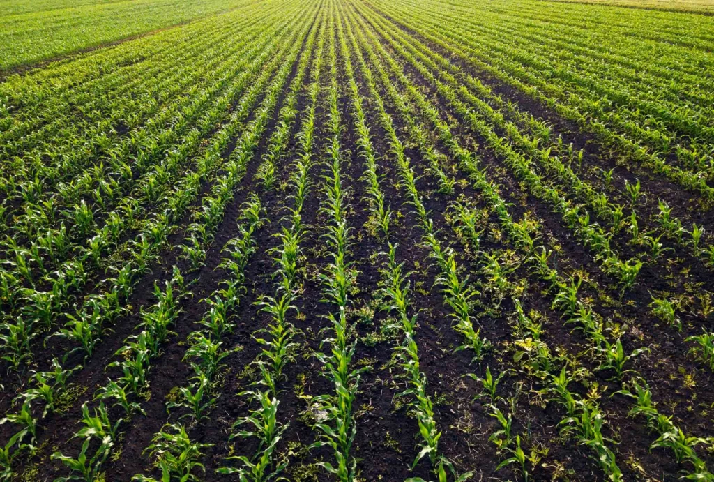 Energy Two LLC – E2 Powerpad – A Power Plant  In Your Parking Lot