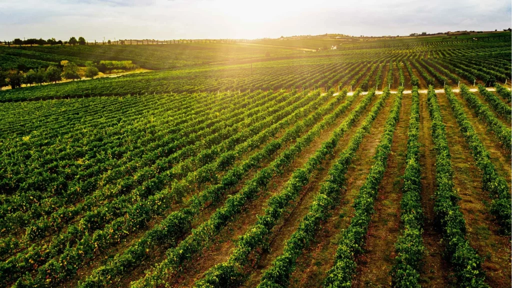 Energy Two LLC – E2 Powerpad – A Power Plant  In Your Parking Lot