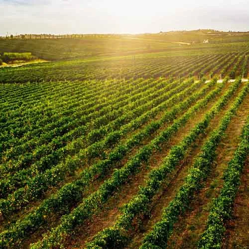 Energy Two LLC – E2 Powerpad – A Power Plant  In Your Parking Lot